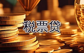 永州税票贷